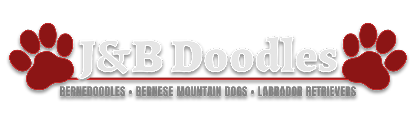 J&B Doodles, LLC J&B Doodles, LLC